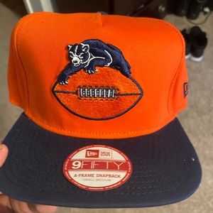 Chicago bears snap back